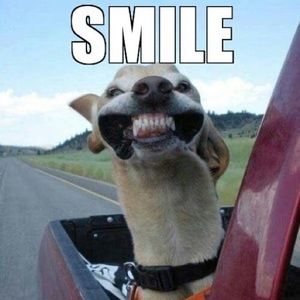 Meet your Posher, Derek